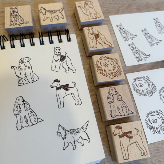 Tampon encreur GRAND CHIEN boîte mystère