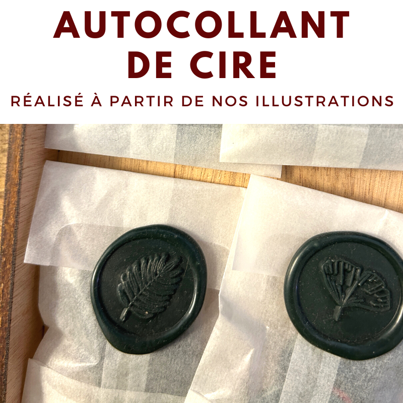 Autocollants de cire illustrés