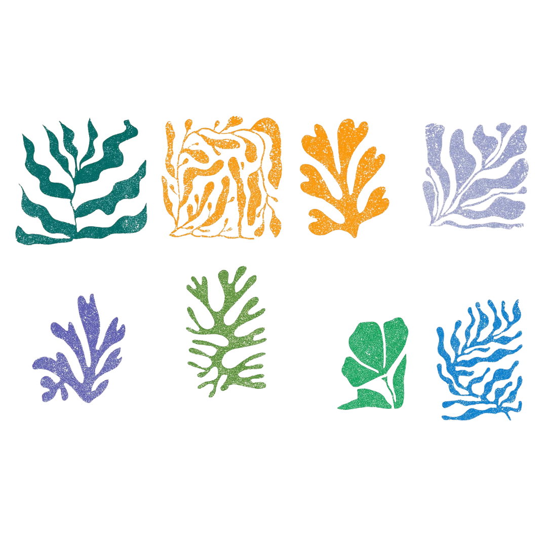 Jeu de tampons floraux