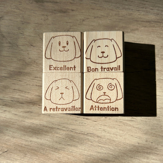 Kit de tampons encreurs de motivation pour maître et maîtresse à tamponner sur supports de cours