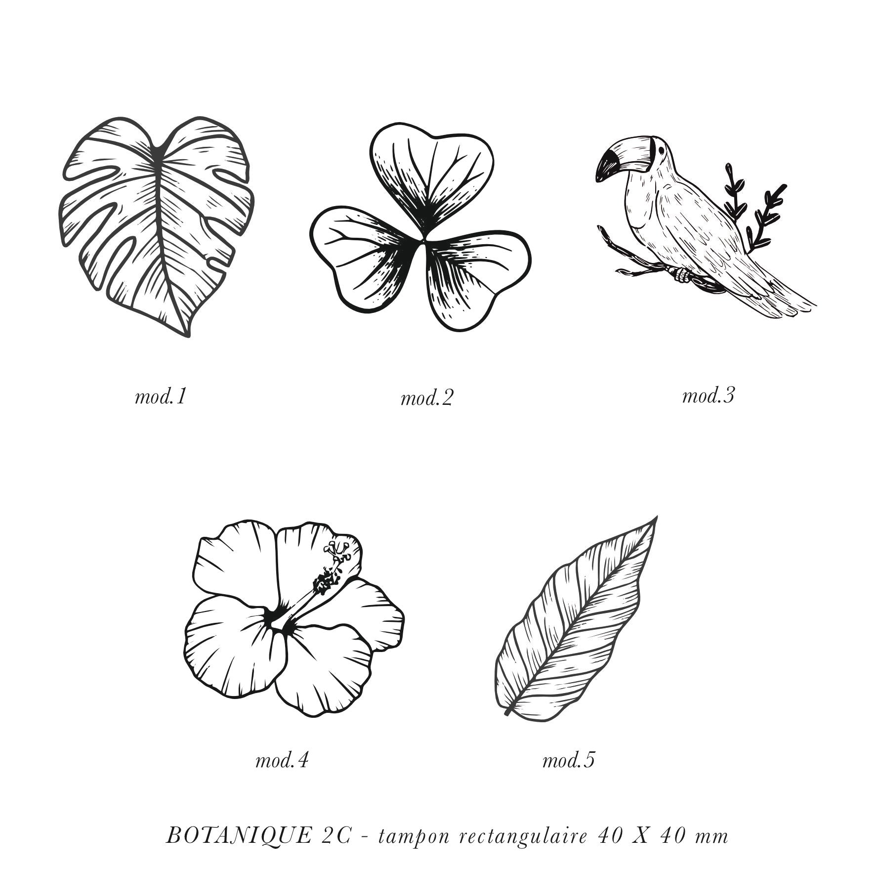 Tampon botanique 2C – ateliertamponsparis