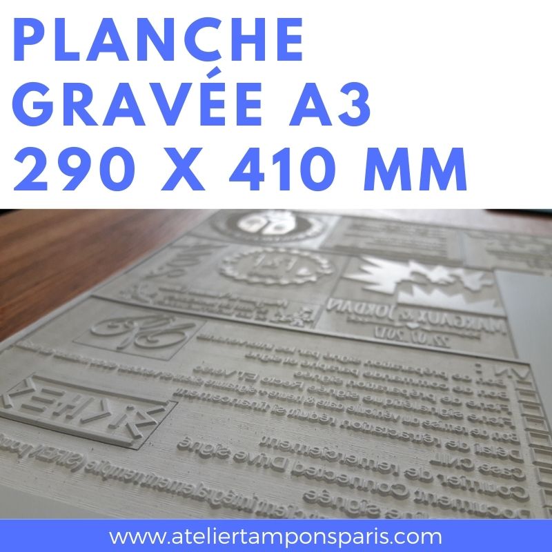 Planche gravée 290 x 410 mm a3